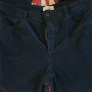 Women's Blue Velvet Pants Loft